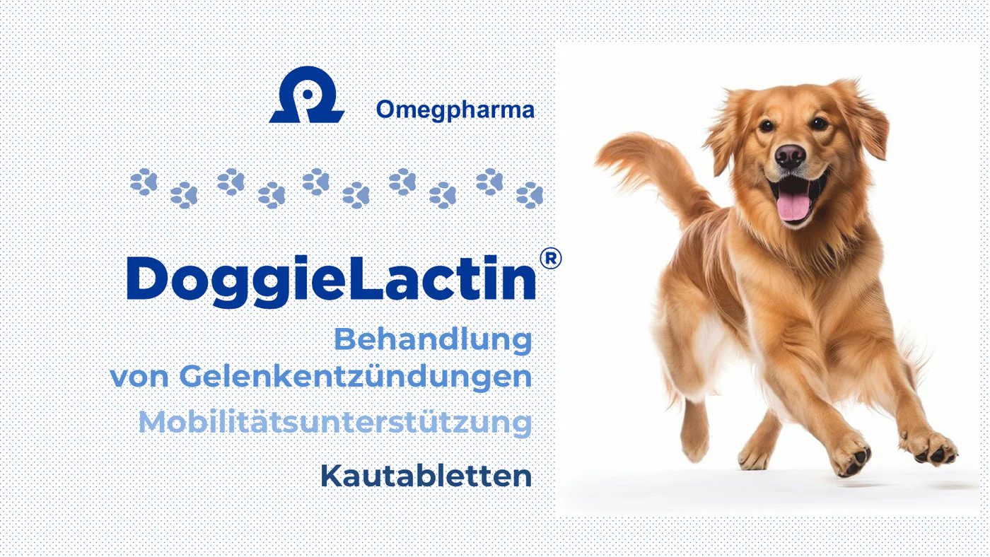 DoggieLactin product presentation supplied to NAVITI