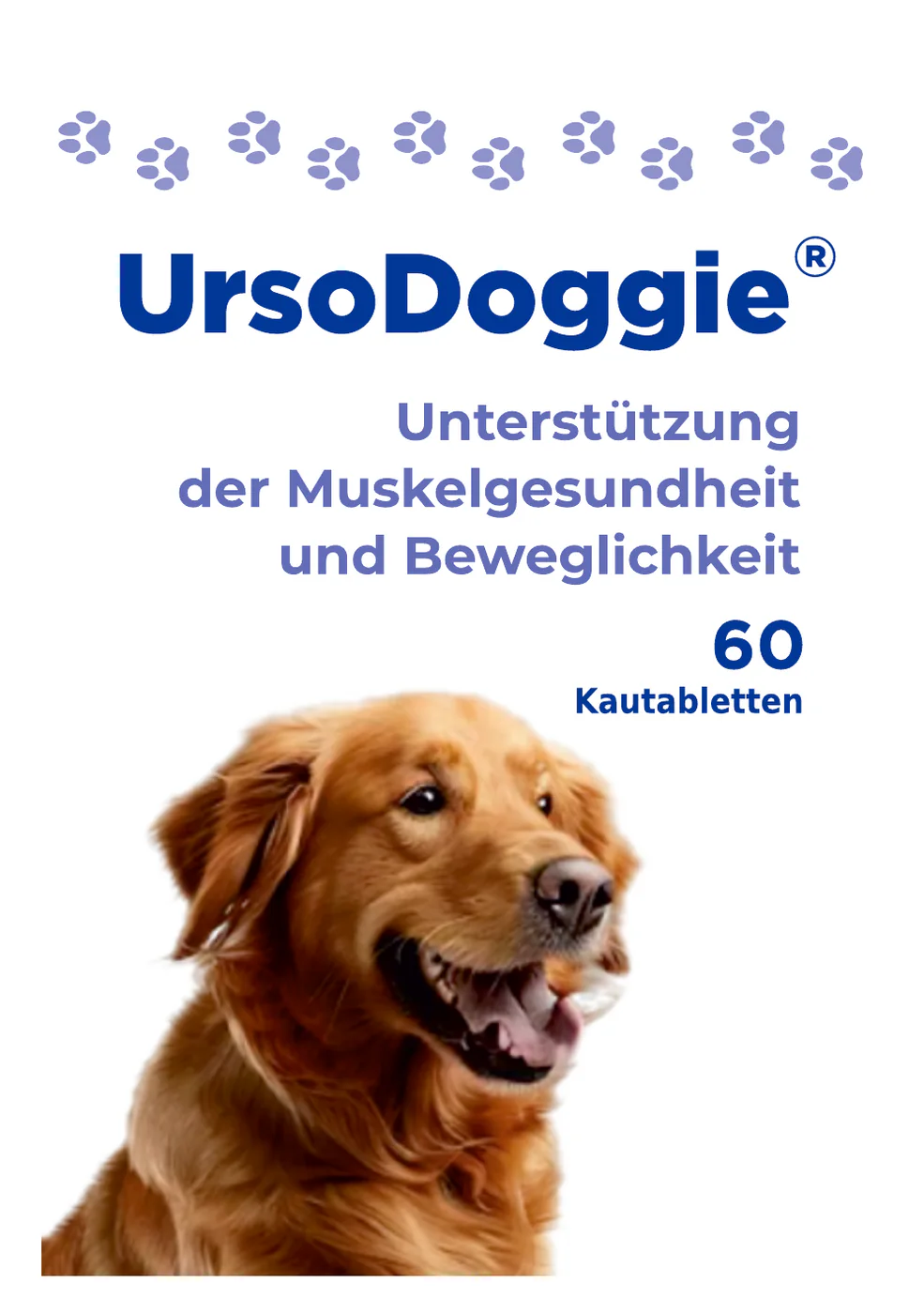 UrsoDoggie product presentation supplied to NAVITI