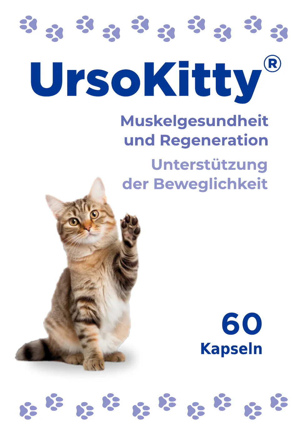 UrsoKitty product presentation supplied to NAVITI